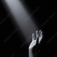 Seek the Light
